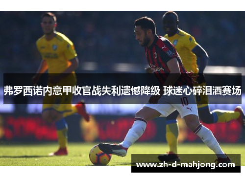 弗罗西诺内意甲收官战失利遗憾降级 球迷心碎泪洒赛场 弗罗西诺内意甲收官战失利遗憾降级 球迷心碎泪洒赛场